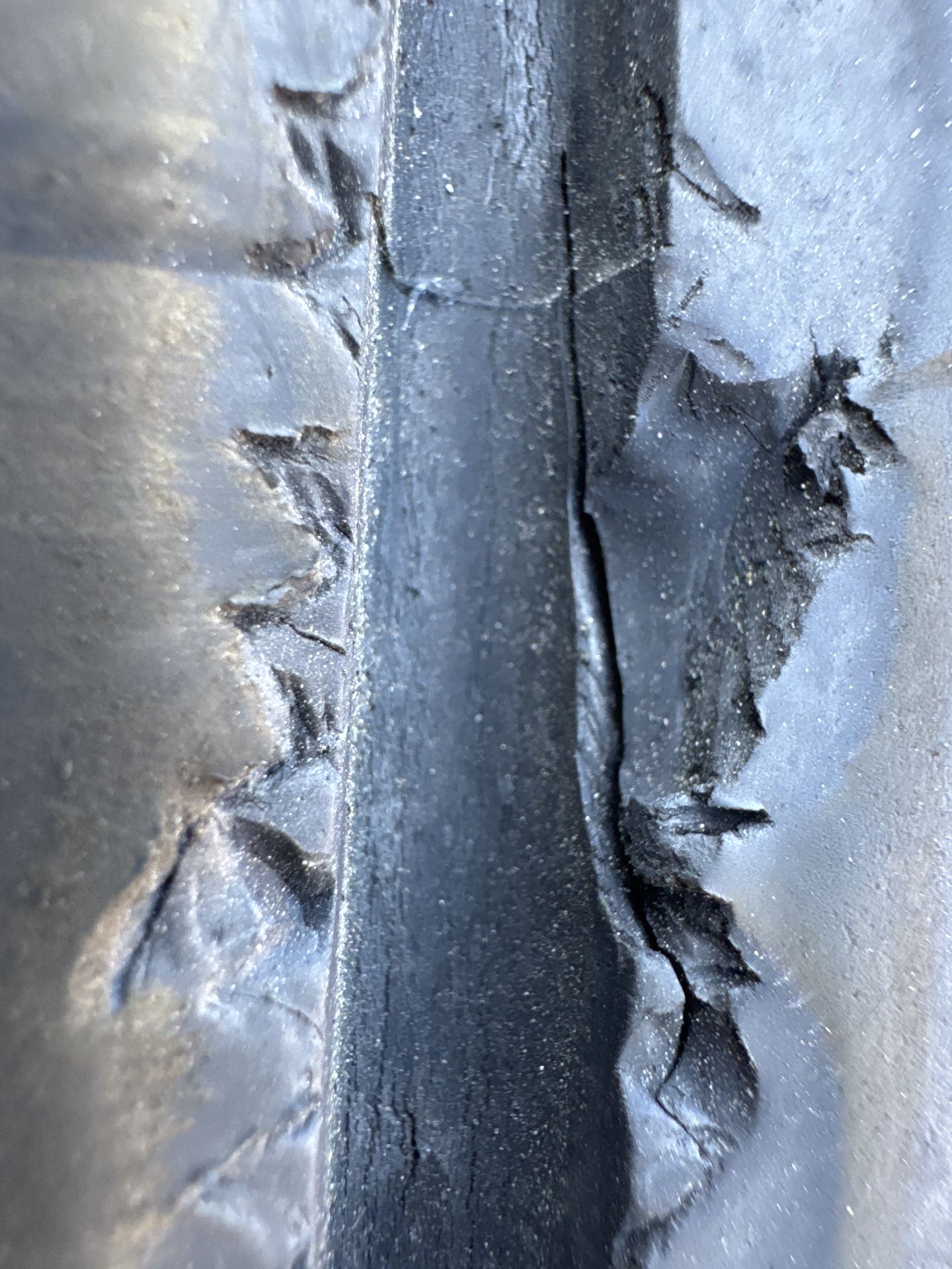Tire Image